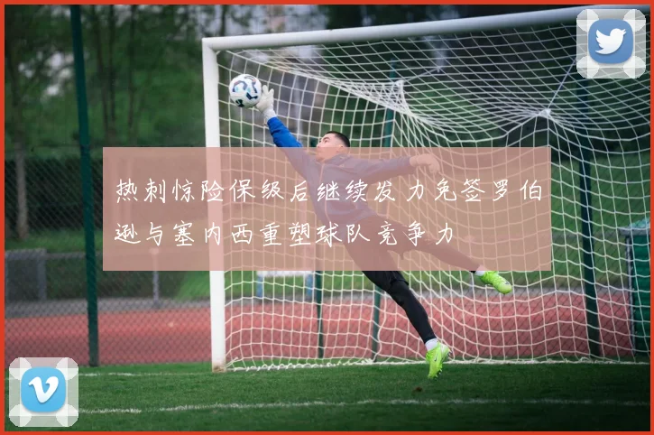 热刺惊险保级后继续发力免签罗伯逊与塞内西重塑球队竞争力