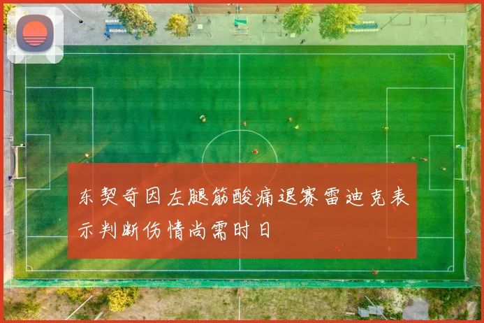 东契奇因左腿筋酸痛退赛雷迪克表示判断伤情尚需时日