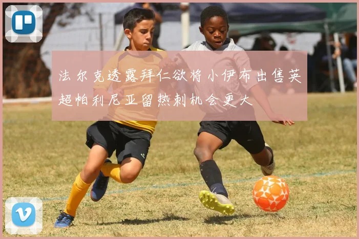 法尔克透露拜仁欲将小伊布出售英超帕利尼亚留热刺机会更大